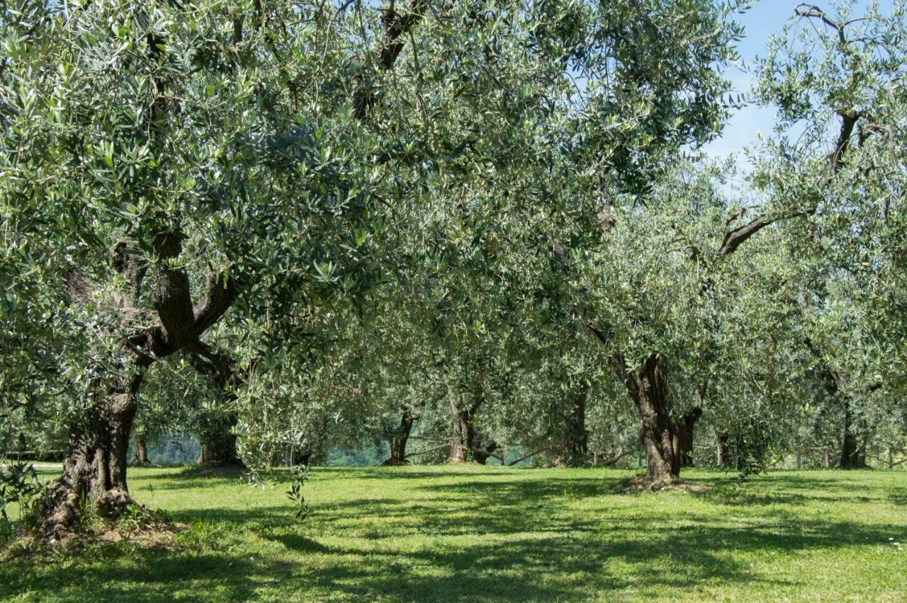 Agriturismo Podere La Casa Palaia Bagian luar foto