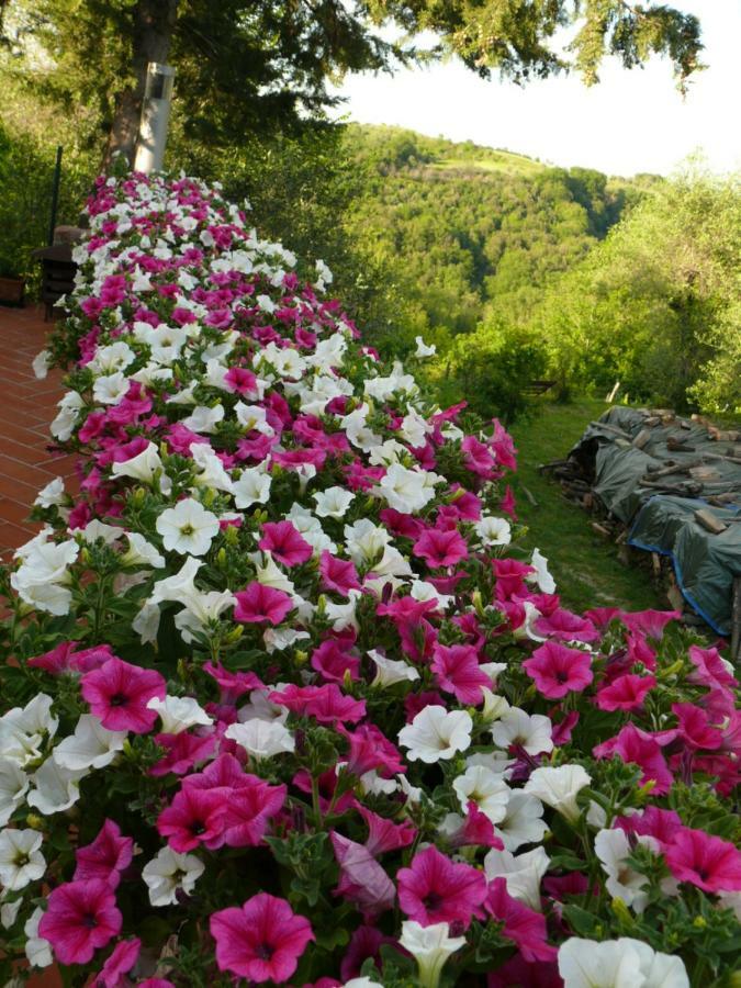 Agriturismo Podere La Casa Palaia Bagian luar foto